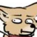 Hang out with fluffy bois
