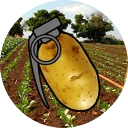The Potato Fields