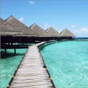 Waves