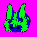 The Rabbit Appreciation Server