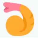 🍤🍤🍤🍤🍤🍤