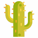Cactus Gaming Server Icon