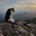 Santiago Legends Discord server icon