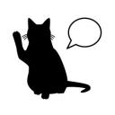 discord server
