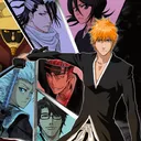 Bleach: Brave Survival