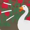 HONK