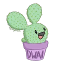 DWAI!