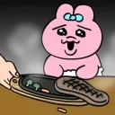 . 𝐑𝐨𝐨𝐦