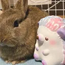 ごちゃごちゃサーバー