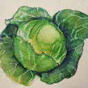 Cabbage and Beef