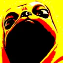 rino server