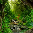 The Mighty Jungle