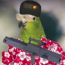 🦜 TROPICAL SHIRT GANG 🌸