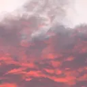 The Realm