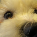 TheMisterEpic's Lounge avatar