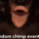 The Monkey Allegiance