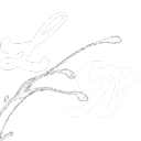 Lactation Nation's icon