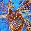 Cat Broke My Ornate