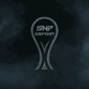 SnP Esport Battlefield avatar
