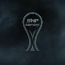 SnP Esport Battlefield icon