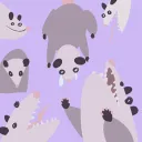 Opossum Crossing
