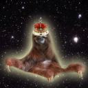 S. Society icon