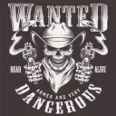 OutLaws