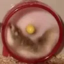 ロマサガハムちゃんず