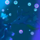 The Ocean