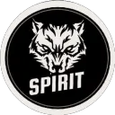 SPIRIT ESPORTS
