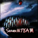 SHARK team