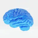 GENIUSULA Discord Server Icon