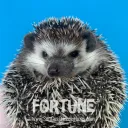 Fortune