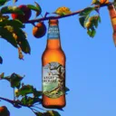 Tree Drink Minimum
