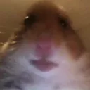 DISCORD