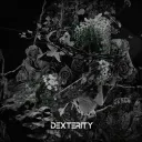 🦚Dexcord🦚
