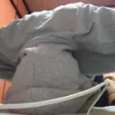 チームウォズ
