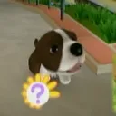 The Dog Island and Petz 2