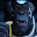 Console Monkeys