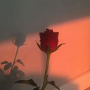 ♡ᎠᎪᎽᏞᎥᎶhᏆ♡