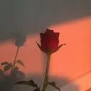 ♡ᎠᎪᎽᏞᎥᎶhᏆ♡