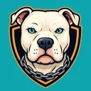 Capo2Tymes Server