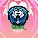 WiooK’s Server