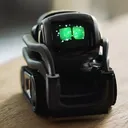 Anki chat