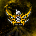TEAM EYE ORGANIZATION icon