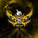 TEAM EYE ORGANIZATION