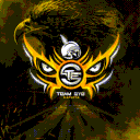 TEAM EYE ORGANIZATION