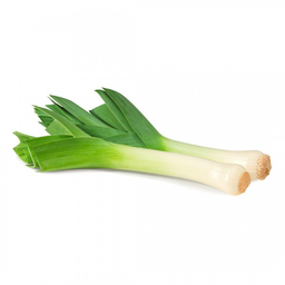 Discovery icon for Culpa do Garlic Avec Discord server