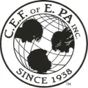 CEF Teens