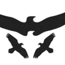 GsbirdNTheBoys
